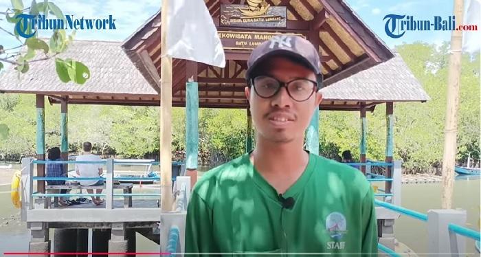 Ekowisata Mangrove Batu Lumbang: Surga Tersembunyi di Tengah Denpasar