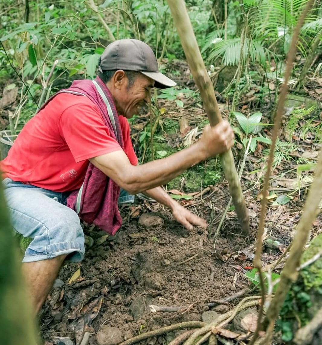 Masyarakat lokal digerakkan dalam upaya pelestarian bambu untuk meningkatkan ketahanan lingkungan. Istimewa/Yayasan KEHATI