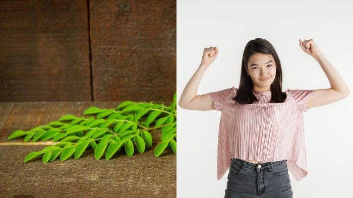 Mnafaat-daun-kelor-untuk-kekebalan-tubuh.jpg