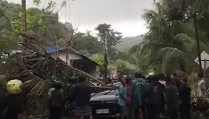 POHON-TUMBANG-pada-Sabtu-22-Maret-2025.jpg