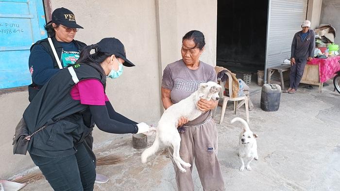 Pelaksanaan-vaksinasi-rabies-di-Kota-Denpasar-778.jpg