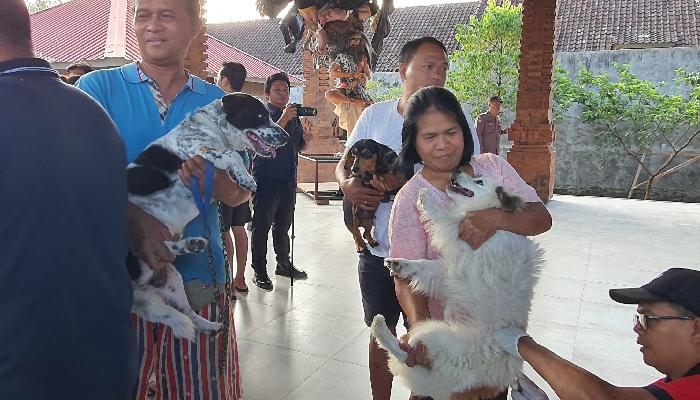 Pelaksanaan-vaksinasi-rabies-di-wantilan-desa-adat-kuwanji.jpg