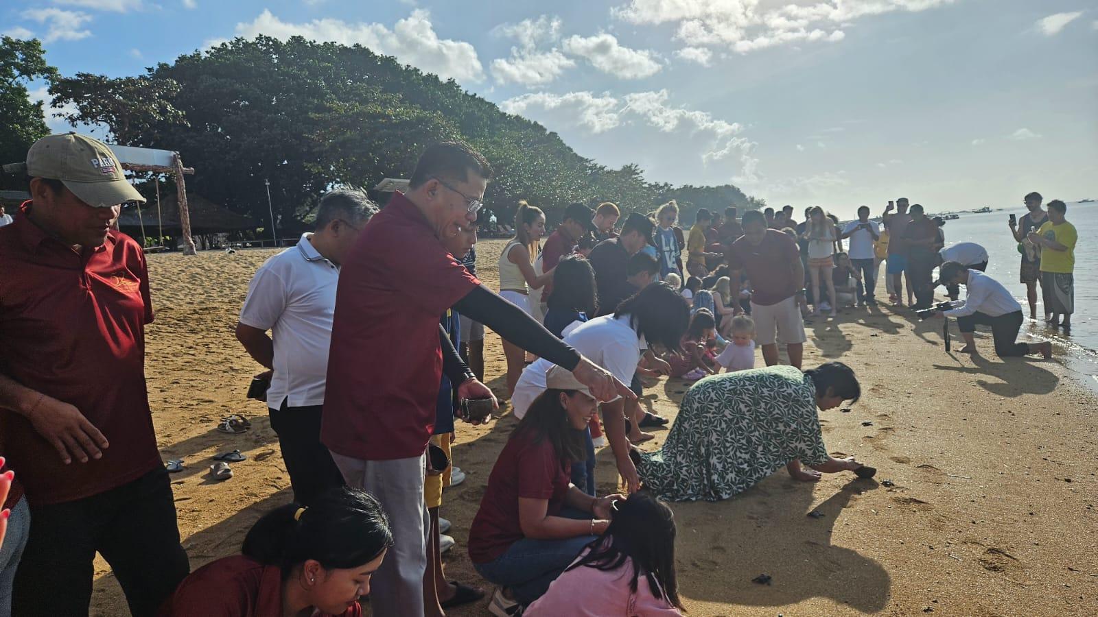 Pelepasan Tukik Dan Penanaman Kelapa Hibrida Untuk Jaga Napas Pesisir Sanur Denpasar Bali - Tribun-bali.com