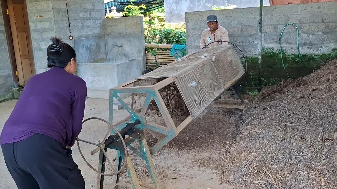 Penglipuran-Bali-Kembangkan-Wisata-Berbasis-Pengolahan-Sampah-Daun-Bambu-Disulap-Jadi-Pupuk-Organik.jpg