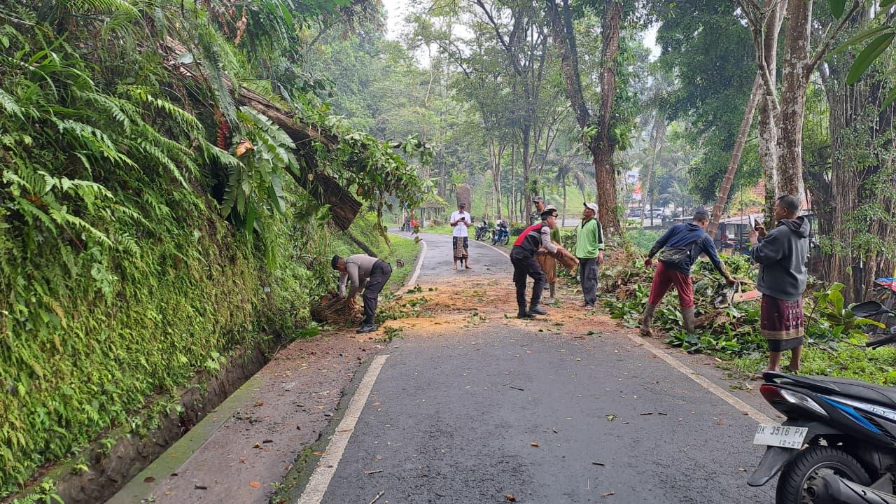 Petugas-saat-mengevakuasi-pohon-tumbang-yang-menutup-akses-ke-Pura-Tirta-Empul.jpg