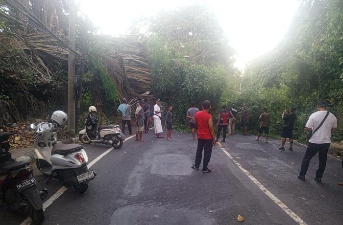 Pohon-beringin-berukuran-besar-tumbang-hingga-menutup-seluruh-badan-jalan.jpg