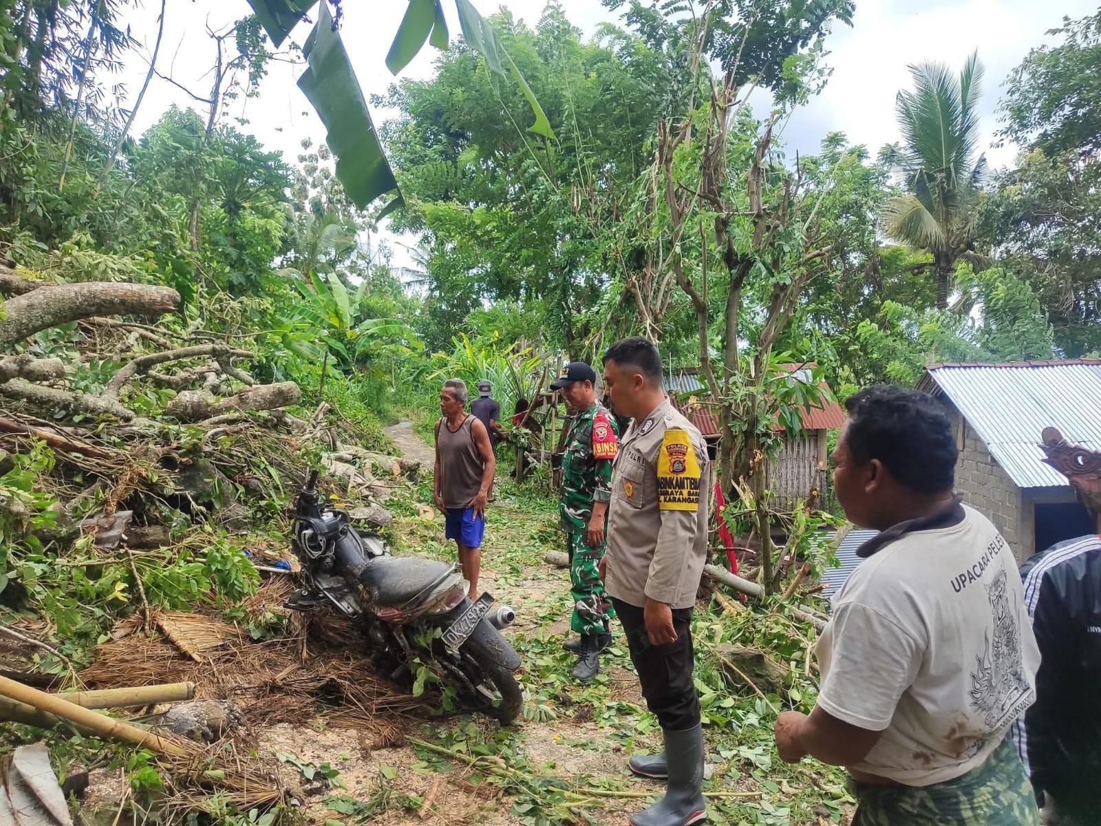 Pohon-berukuran-besar-tumbang-dan-merusak-kendaraan-di-Banjar-Dinas-Pesiatin-Kaler-Desa-Seraya.jpg
