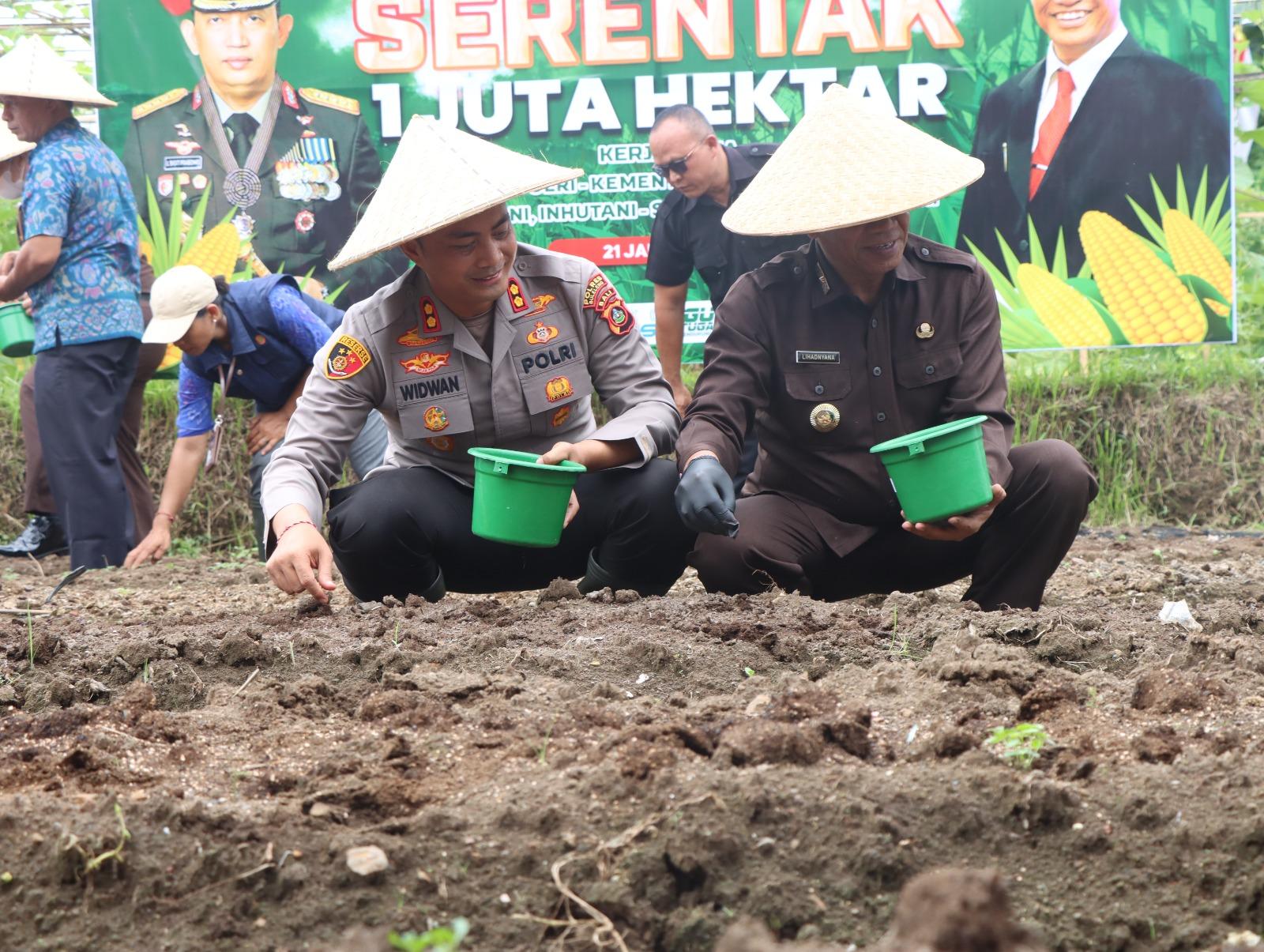 Polres-Buleleng-Minimalkan-Lahan-Nganggur-di-Musim-Hujan-untuk-Tanam-Jagung.jpg