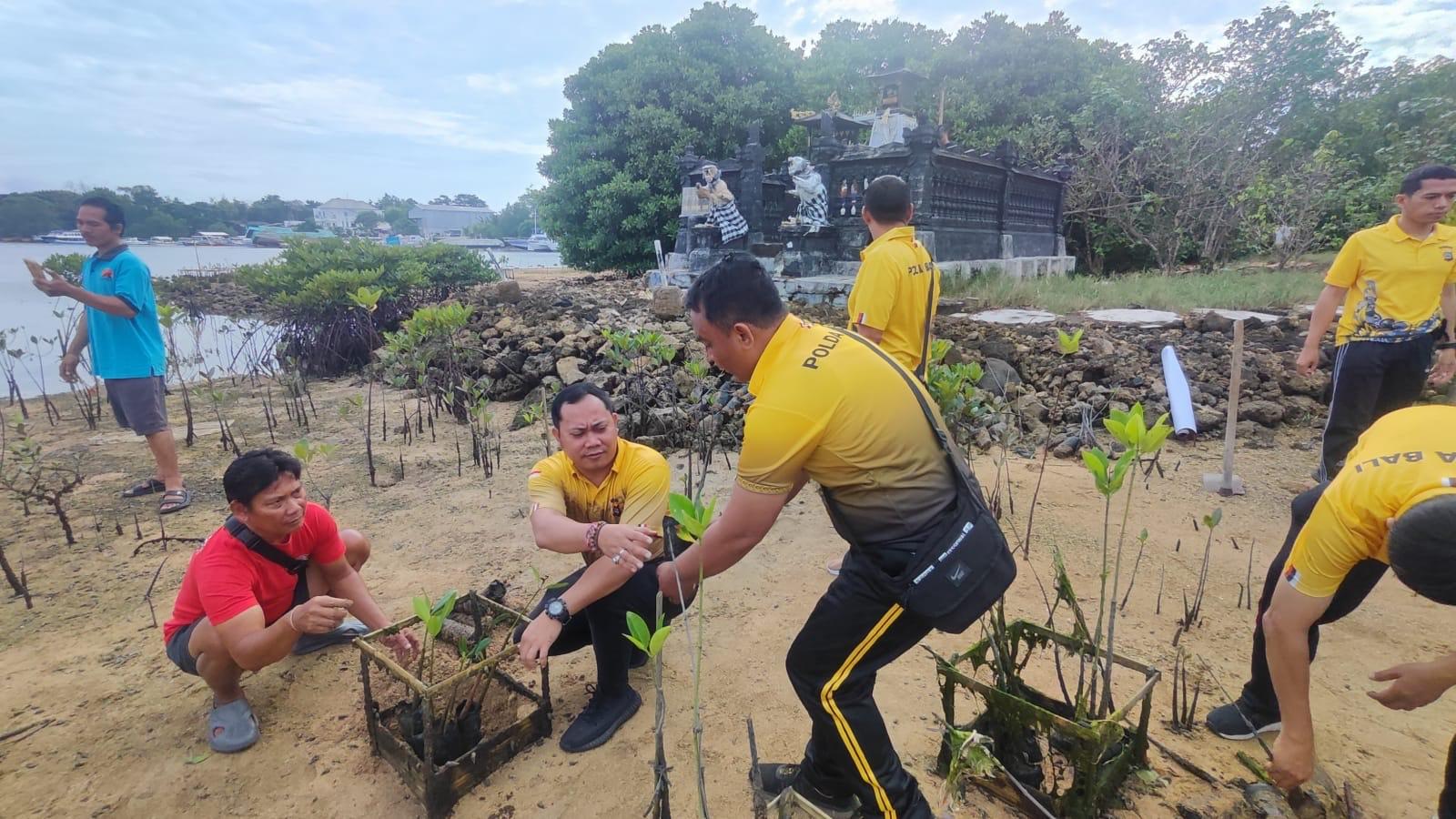 Polsek-Kuta-Selatan-Bali-Lakukan-Penanaman-Mangrove-dan-Lepas-Tukik.jpg