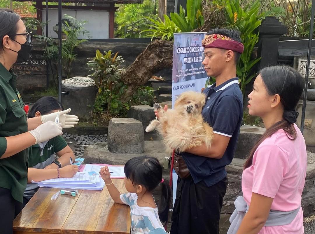 Putus-Rantai-Penularan-28068-dari-84369-Ekor-Anjing-di-Denpasar-Bali-Telah-Divaksin-Rabies.jpg