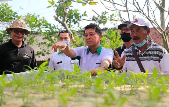 50 KK Miskin di Klungkung Digelontor Bantuan Hidroponik Senilai Rp48 Juta