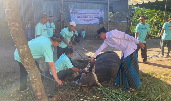 Seekor-sapi-kurban-berbobot-sekitar-600-kilogram-bantuan-Presiden-Prabowo-Subianto-disembelih.jpg