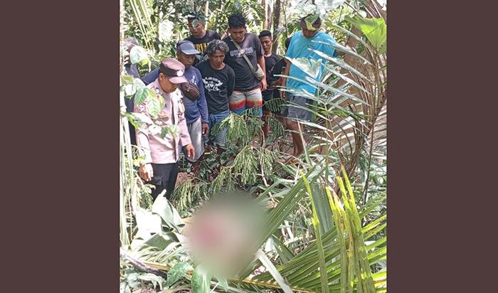 Seorang-penebang-pohon-asal-Desa-Kintamani-meninggal-setelah-terjatuh.jpg
