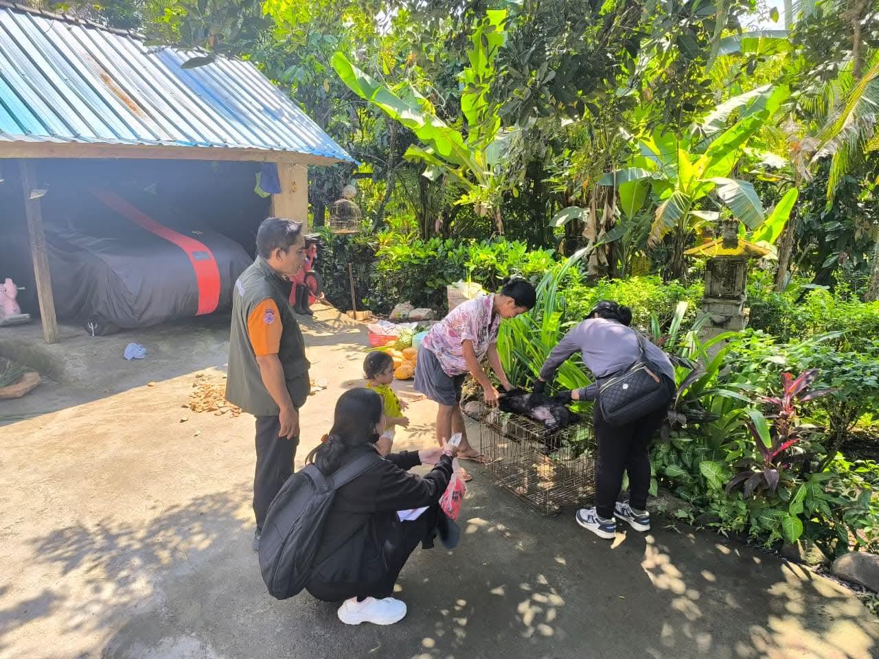 Targetkan Vaksinasi 80 Persen dari Total Populasi, Mendoyo Tertinggi Kasus Positif Rabies 2025