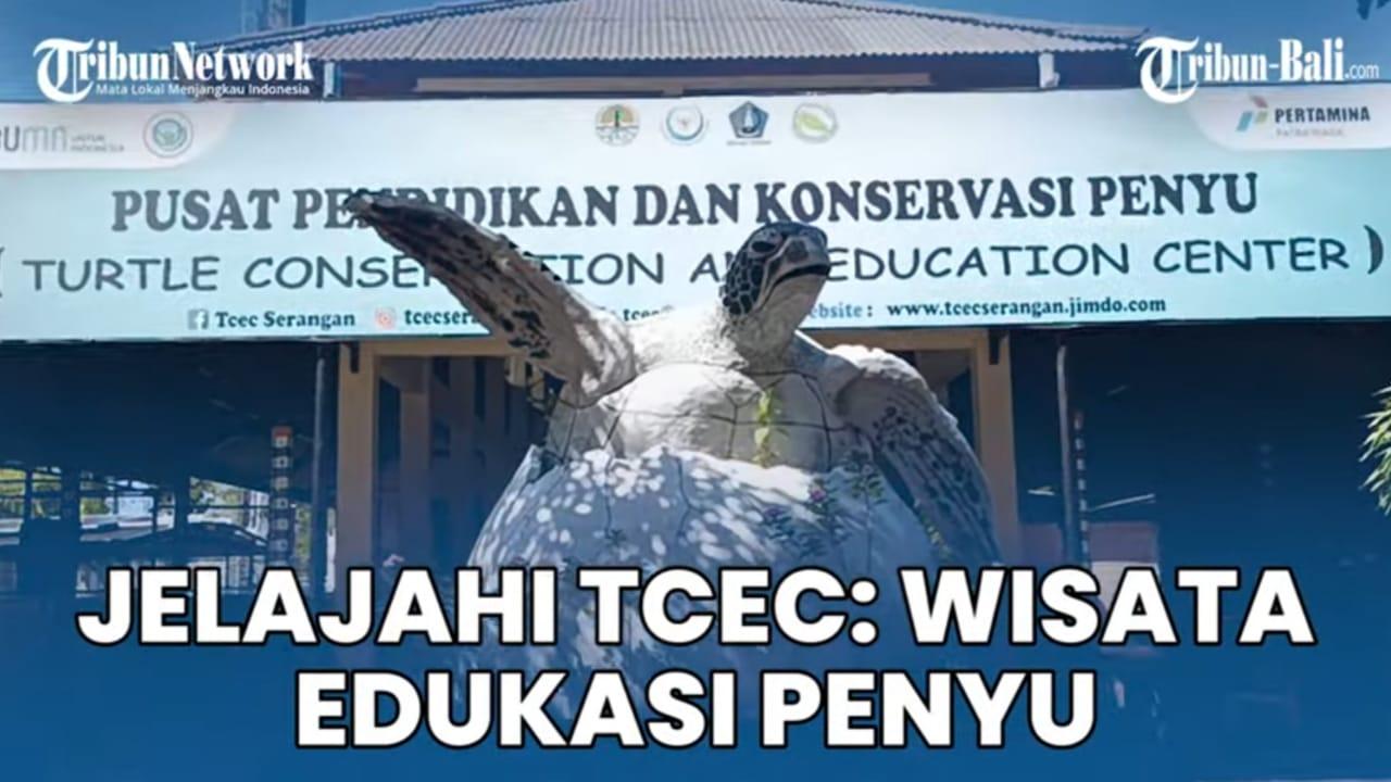 Jelajahi TCEC: Wisata Edukasi yang Membawa Anda Lebih Dekat dengan Penyu