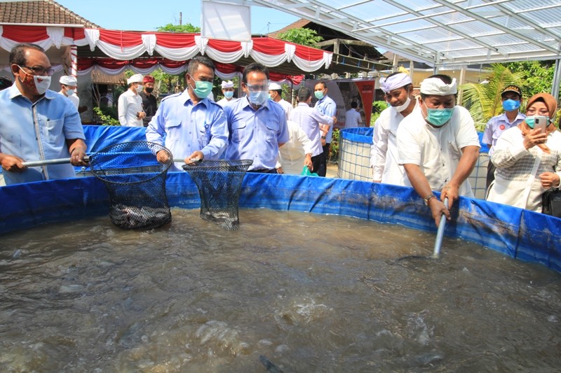 Kelompok Mina Kembang Panen Perdana Ikan Lele dengan Sistem Bioflok