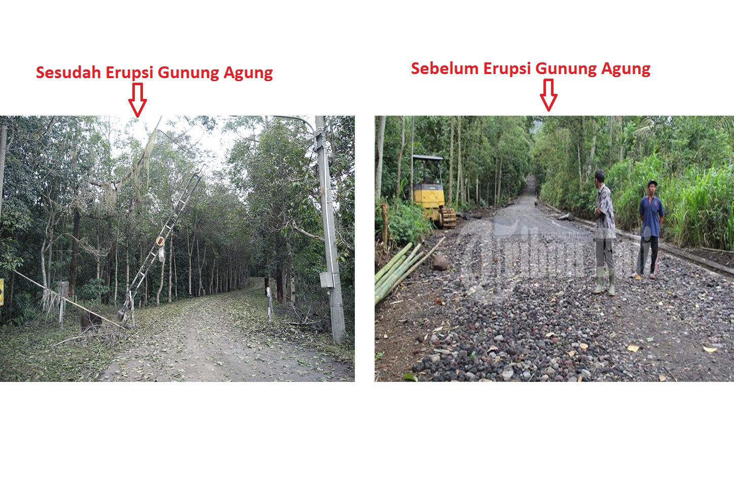 Kondisi Pedesaan di Lereng Gunung Agung Kini Memprihatinkan, Sepi Bak Tanpa Kehidupan