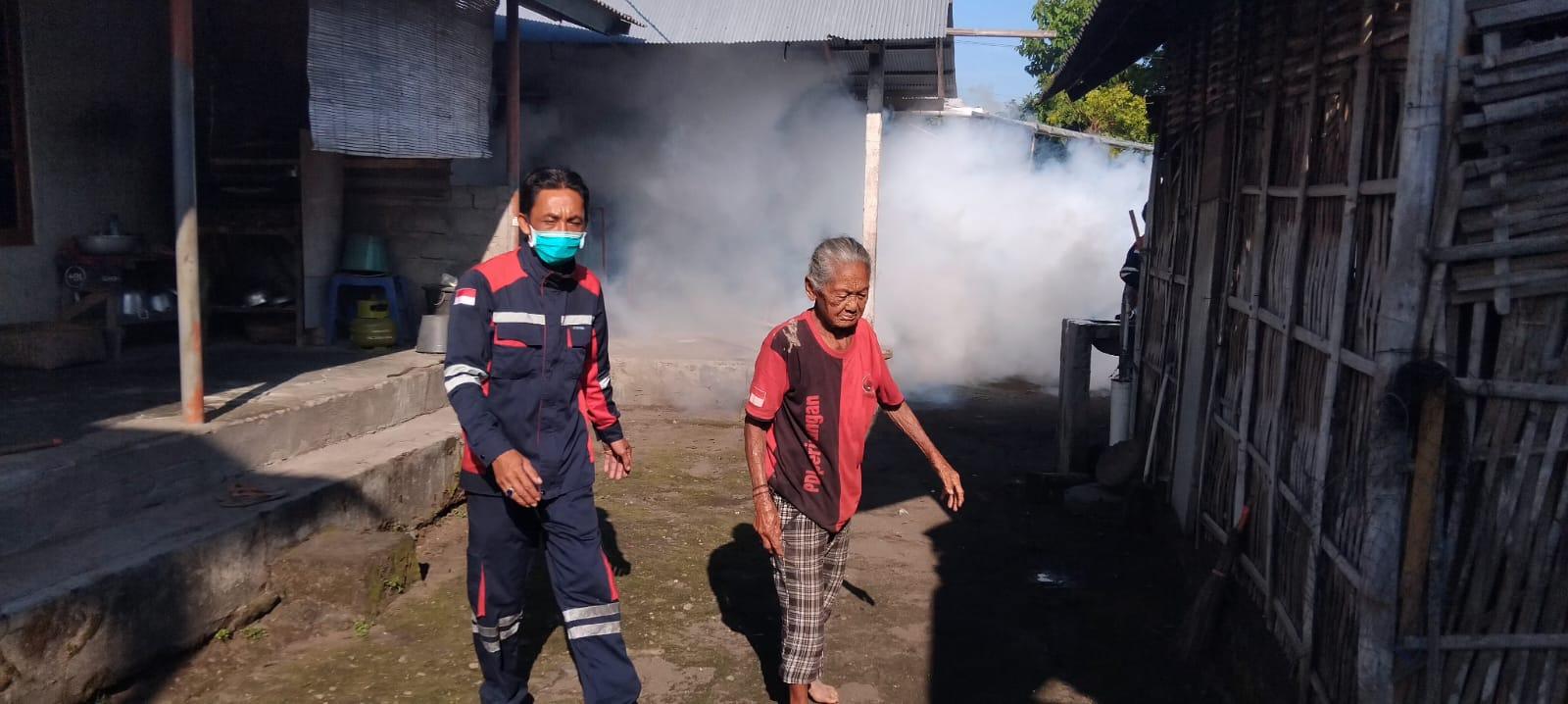 Februari Sentuh 200 Kasus DBD, Kasus DBD Melonjak di Karangasem, Januari Tercatat 125 Kasus