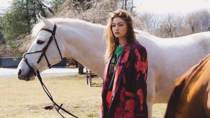 Profil Gigi Hadid, yang Baru Melahirkan Anak Pertamanya dengan Zayn Malik, Berikut Perjalanan Karier