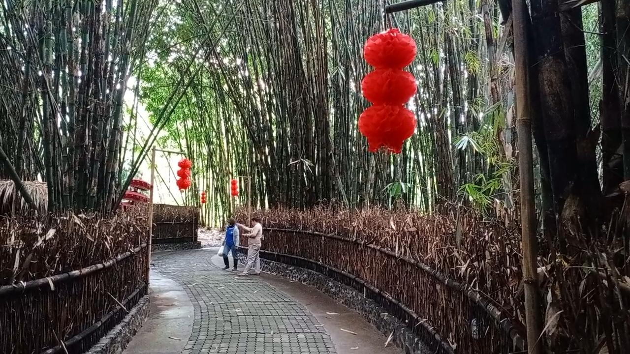 hutan-bambu-di-Desa-Penglipuran-Manajemen-Desa-Penglipuran-menambahkan-nuansa-khas-Imlek.jpg