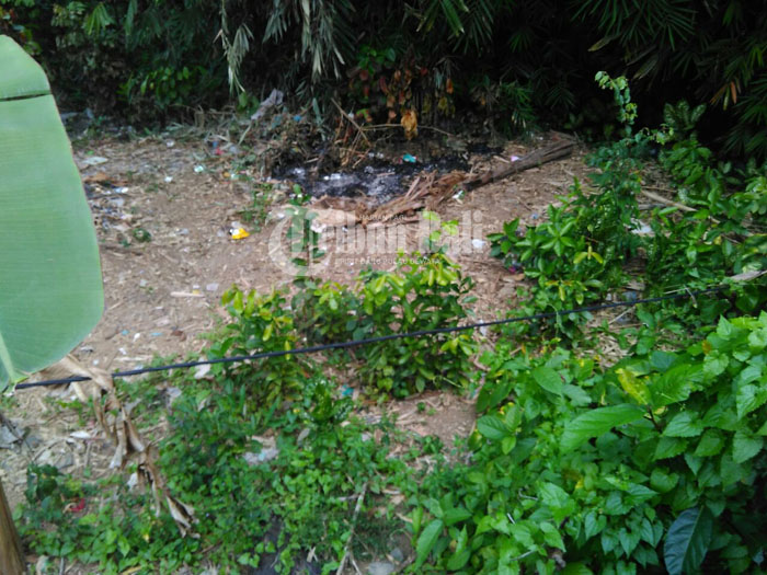 Kabel PLN Mengelupas Membahayakan