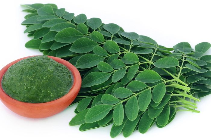 Termasuk Daun Kelor, Ini 5 Tanaman Herbal yang Bisa Membantu Menjaga Kesehatan Jantung