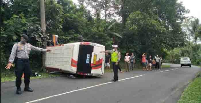 Hindari Kendaraan Lain Hingga Tabrak Tiang Listrik,Minibus Berpenumpang 5 Orang Terguling di Tabanan