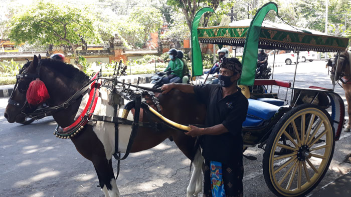 Setelah Dihentikan 6 Bulan, Program Dokar Gratis di Denpasar Kembali Beroperasi, Hari Pertama Sepi