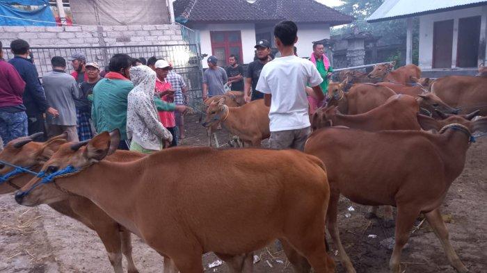 pasar-hewan-rubaya-kecamatan-kubu-karangasem.jpg
