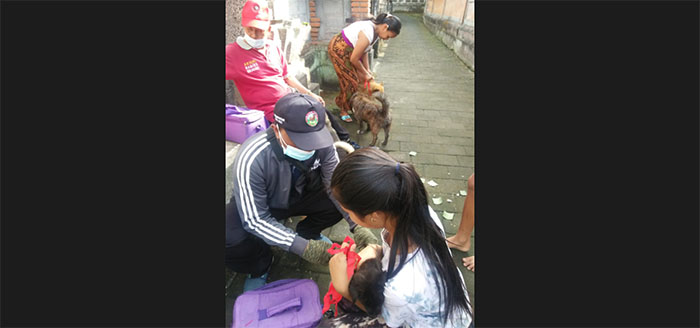 Diduga Ada Oknum Buang Anjing Rabies. Distanak Gianyar Gencarkan Vaksinasi