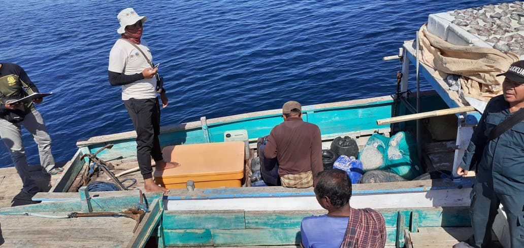 KLHK dan Tim Gabungan Tindak 11 Pelaku Perusakan Karang di TN Komodo