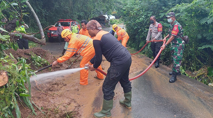 Pohon Kaliandra di Tabanan Tumbang Disertai Tanah Longsor, Jalan Hanya Bisa Digunakan Satu Jalur