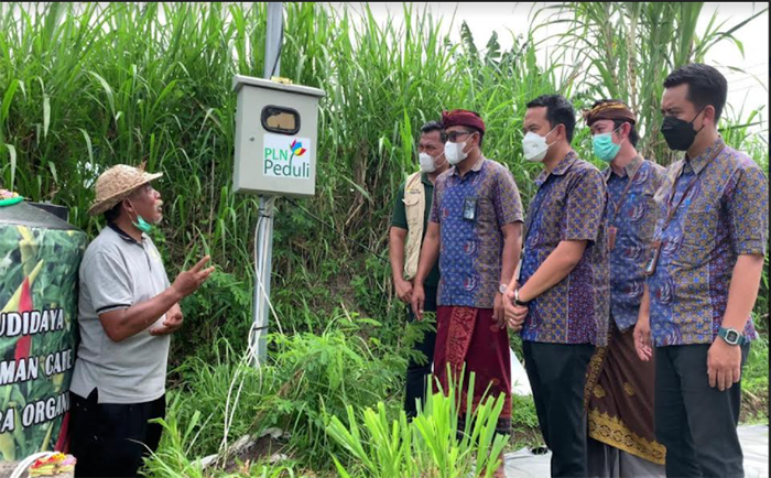 Peduli Pertanian Organik, PLN Salurkan Bantuan Smart Farming ke Kelompok Petani Cabai Klungkung