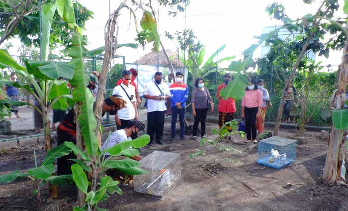 Populasi Jalak Bali Menurun, Pertamina MOR V Luncurkan Program Konservasi