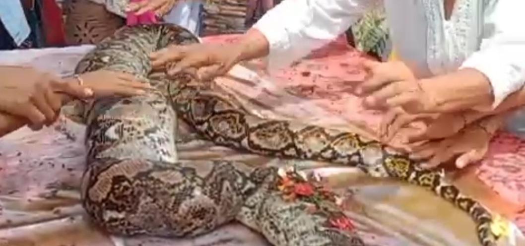 Ikki sargish erkakni boglab qoydi (porno)