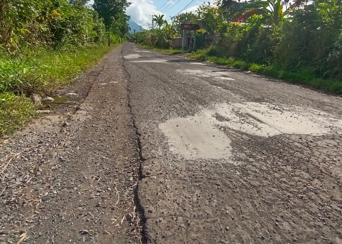 Sembilan Persen Jalan di Jembrana Rusak Berat, Butuh Dana Rp 300 Miliar untuk Bangun dan Perbaiki