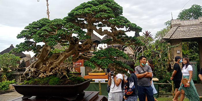 2 Tahun Dilanda Pandemi, Puluhan Desa Wisata di Bangli Mati Suri