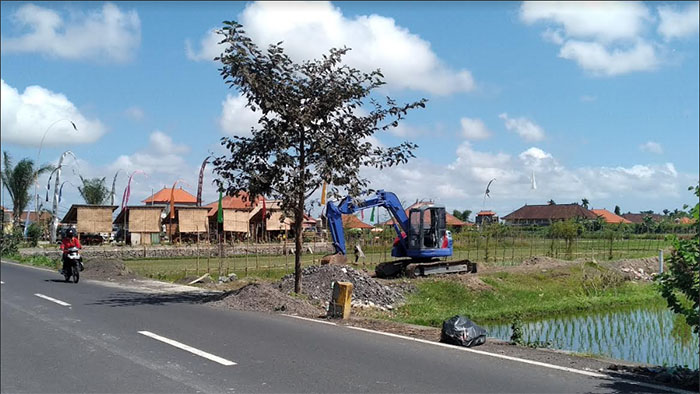 salah-satu-lahan-persawahan-di-desa-darmasaba-mengwi-badung-yang-mengalami-alih-fungsi-lahan.jpg