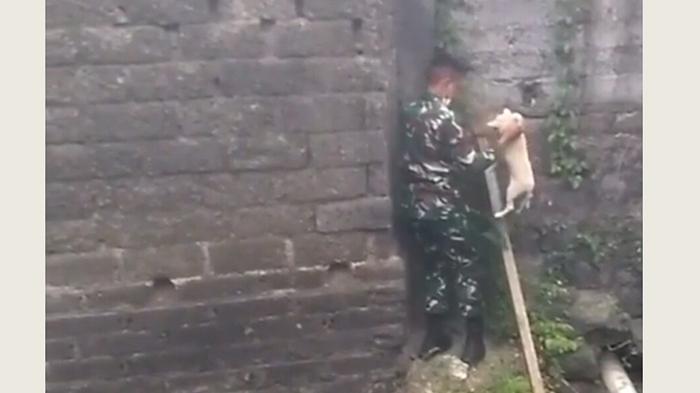 Viral Aksi Heroik Anggota TNI AD di Denpasar Selamatkan Anjing Terjebak di Got