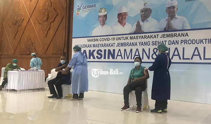1400 Pegawai OPD di Pemkab Jembrana Ikuti Vaksinasi Massal