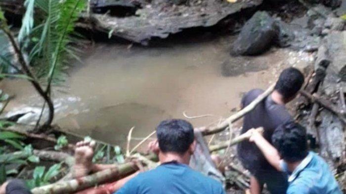 Kronologi Siswa SMP di Sultra Tewas Dililit Ular Piton 7 Meter, Saat Ditolong Ular Menyerang Balik