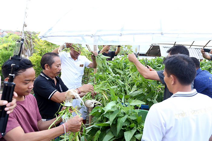 Upaya Kurangi Kemiskinan di Klungkung, 100 KK Miskin Akan Dilatih Bercocok Tanam Hidroponik