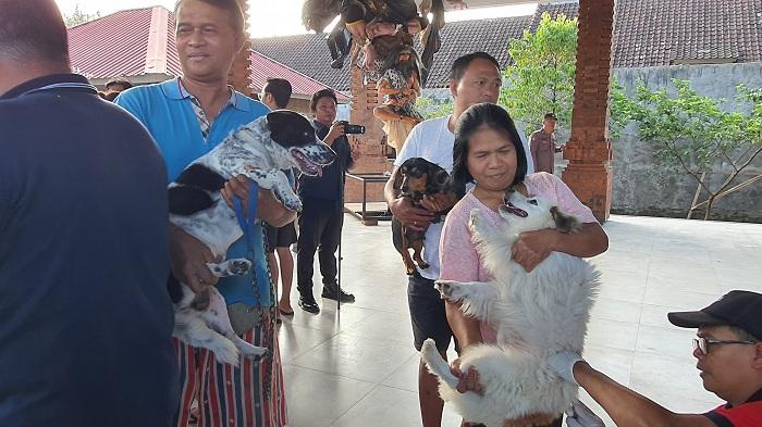 Cukup Akses Aplikasi Nak Badung Sehat, Warga yang Digigit HPR Bisa Diberikan Penanganan Cepat