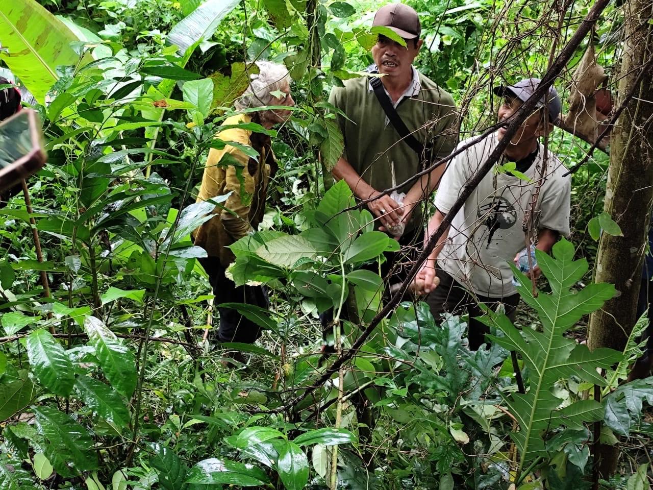 HILANG Cari Kayu Bakar, Seorang Nenek dari Desa Alas Angker Buleleng Akhirnya Ditemukan Selamat