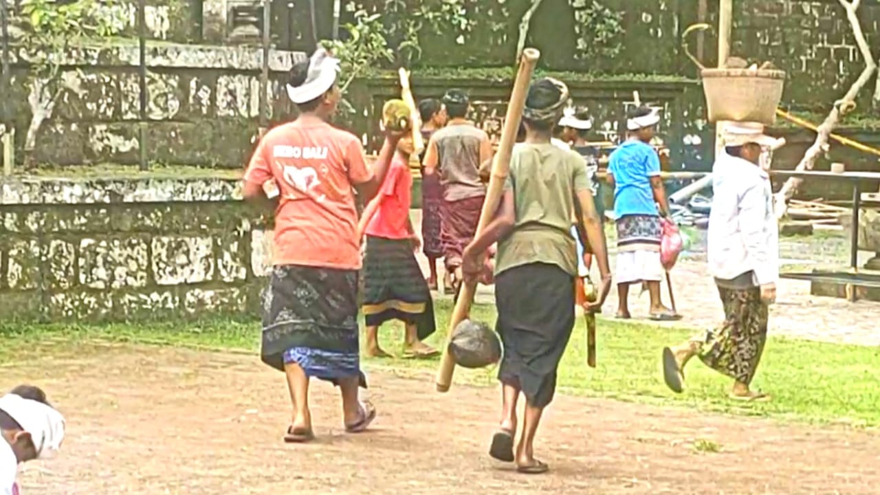 Anak-anak Bedulu sudah 'Ngambeng'. Tanda Odalan Pura Samuantiga Sudah Dekat