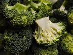 12-Manfaat-dan-Kandungan-Nutrisi-Brokoli-untuk-Kesehatan-Ternyata-Bisa-Jadi-Superfood-untuk-Tubuh.jpg