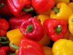 15-Manfaat-dan-Kandungan-Nutrisi-Paprika-Bagi-Kesehatan-Tak-Cuma-Punya-Rasa-Pedas-Ternyata-Ini.jpg