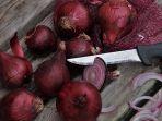 17-Manfaat-Kandungan-dan-Khasiat-Bawang-Merah-untuk-Kesehatan-Ternyata-Bisa-Jadi-Superfood.jpg