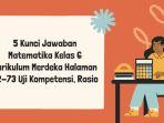 5 Kunci Jawaban Matematika Kelas 6 Kurikulum Merdeka Halaman 72-73 Uji Kompetensi, Rasio