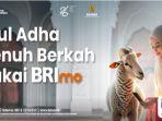 BRImo-ibadah-kurban.jpg
